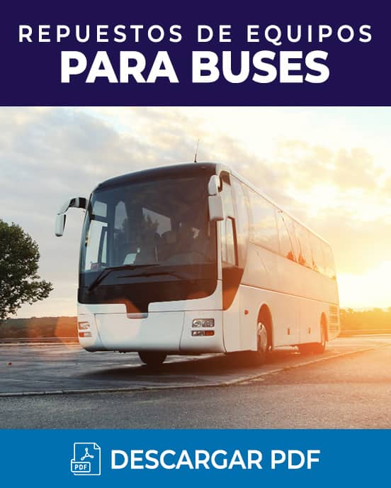 BUSES
